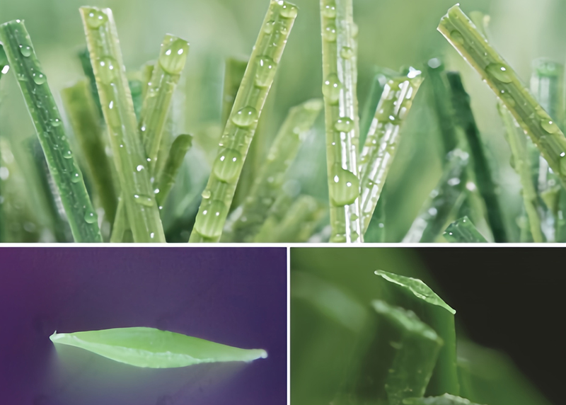 Professional football pitch